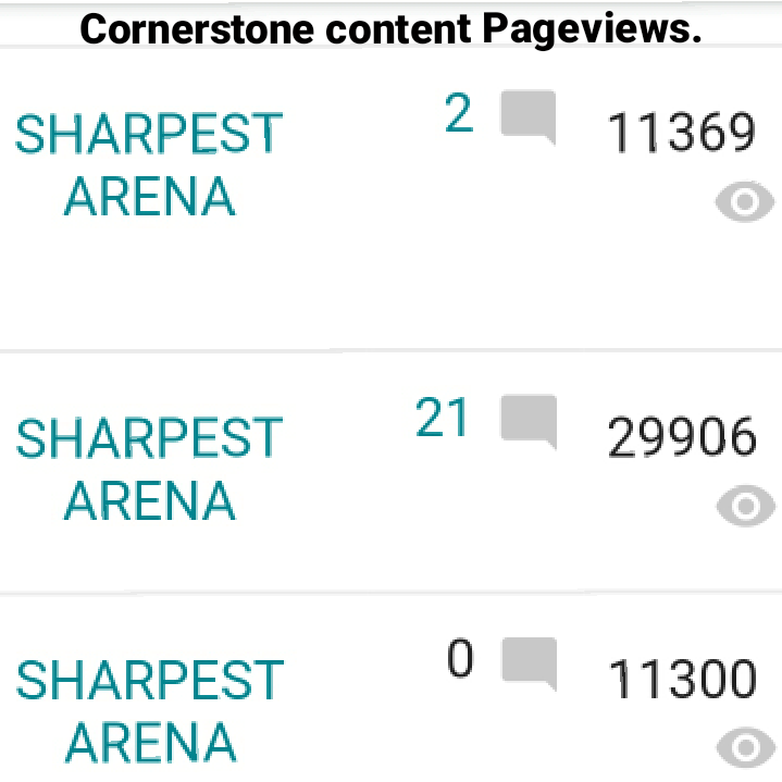 Blog visitors daily pageviews Blog visitors daily pageviews